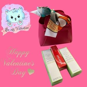 MARY KAY SATIN LIPS TRIO in a Cute Reusable Pink Bag & Twilly